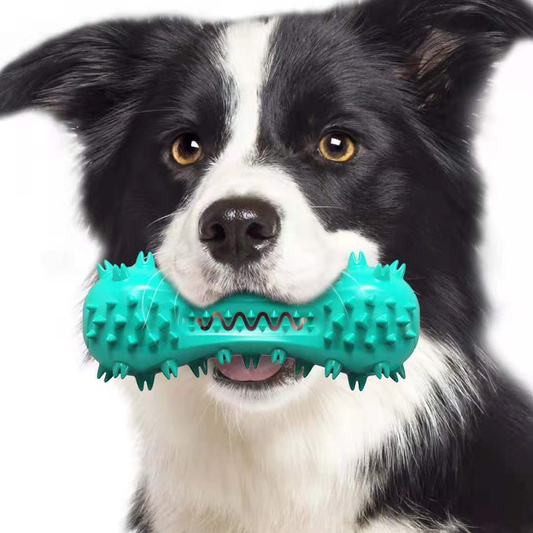 Rubber Dental Chew Toy