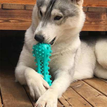 Rubber Dental Chew Toy