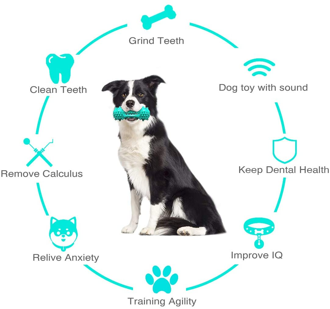Rubber Dental Chew Toy