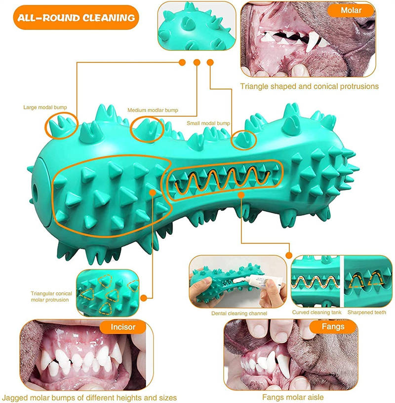 Rubber Dental Chew Toy