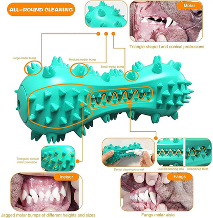 Rubber Dental Chew Toy