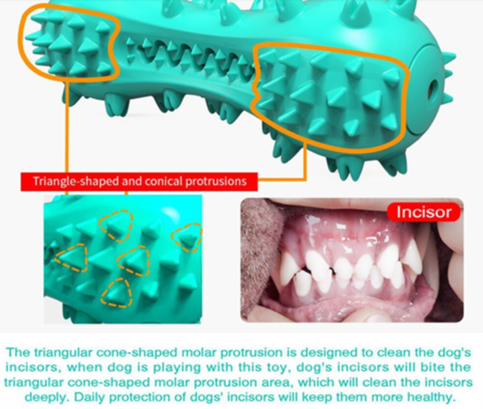 Rubber Dental Chew Toy